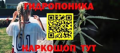 ПСИЛОЦИБИНОВЫЕ ГРИБЫ Партизанск