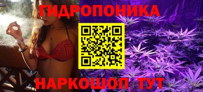 ПСИЛОЦИБИНОВЫЕ ГРИБЫ Партизанск