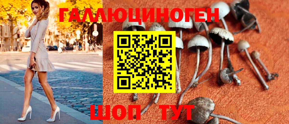 Галлюциногенные грибы мицелий  Вход с VPN  Симферополь 