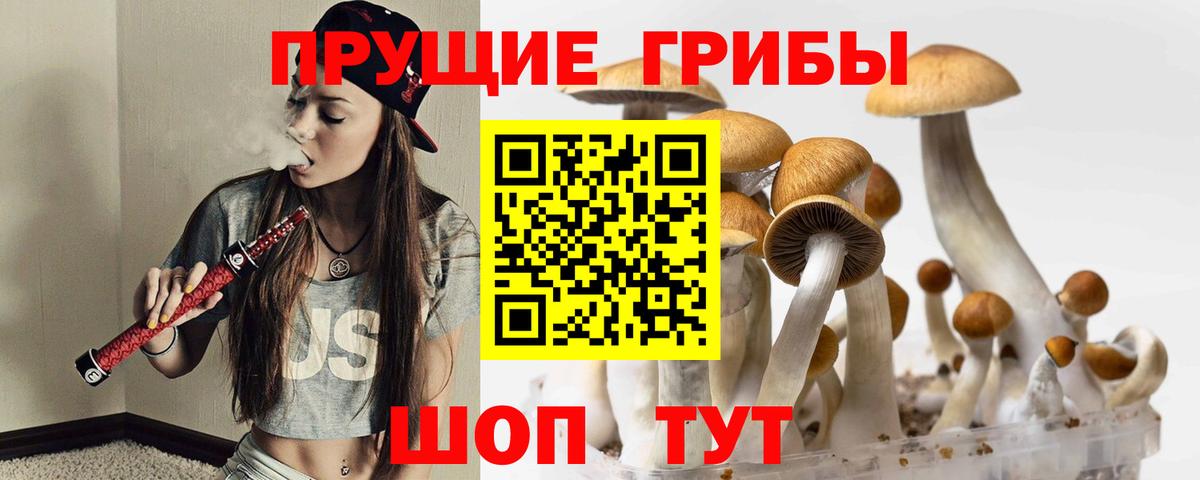 Псилоцибиновые грибы мухоморы Симферополь
